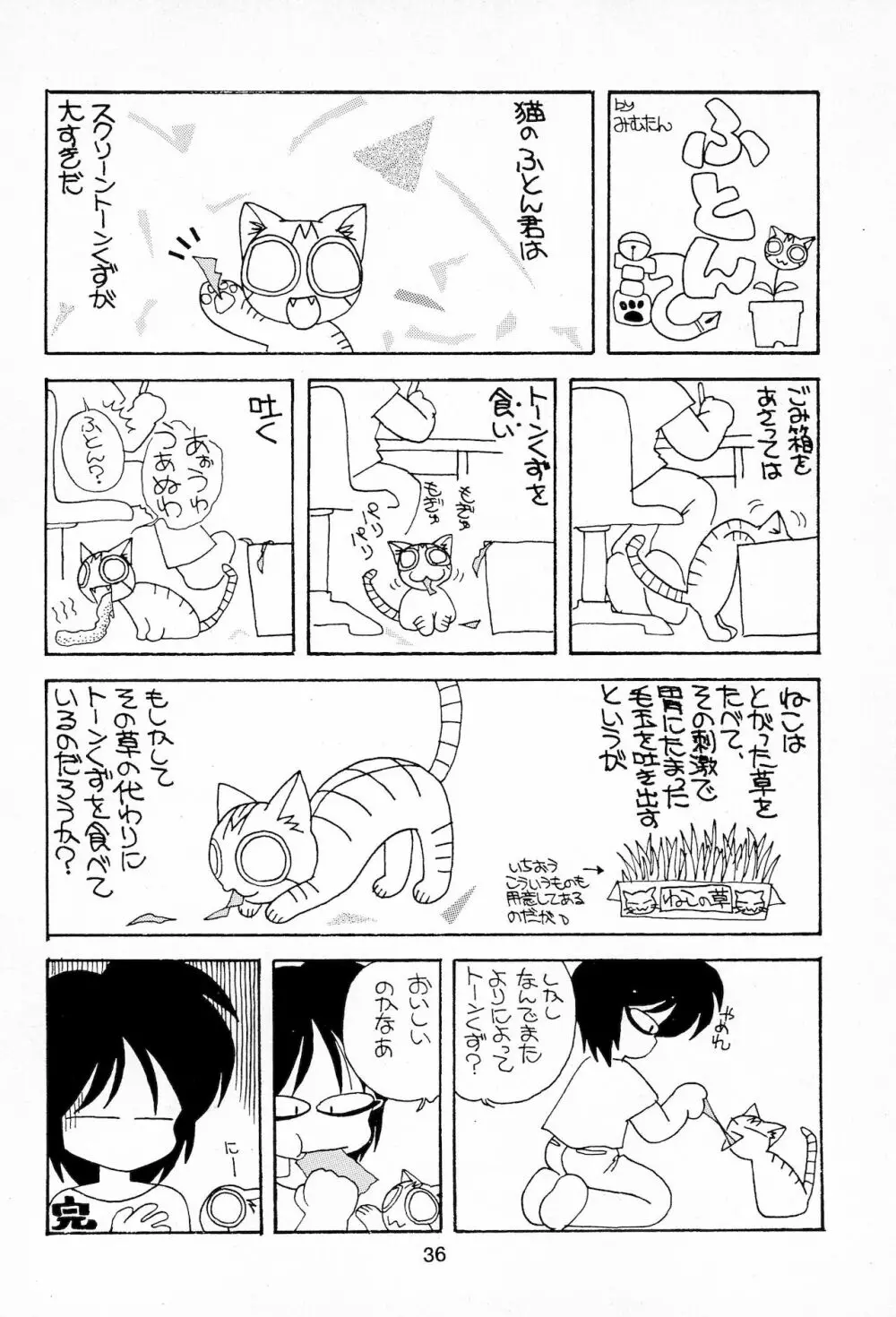 Plumule 幼芽 Page.36