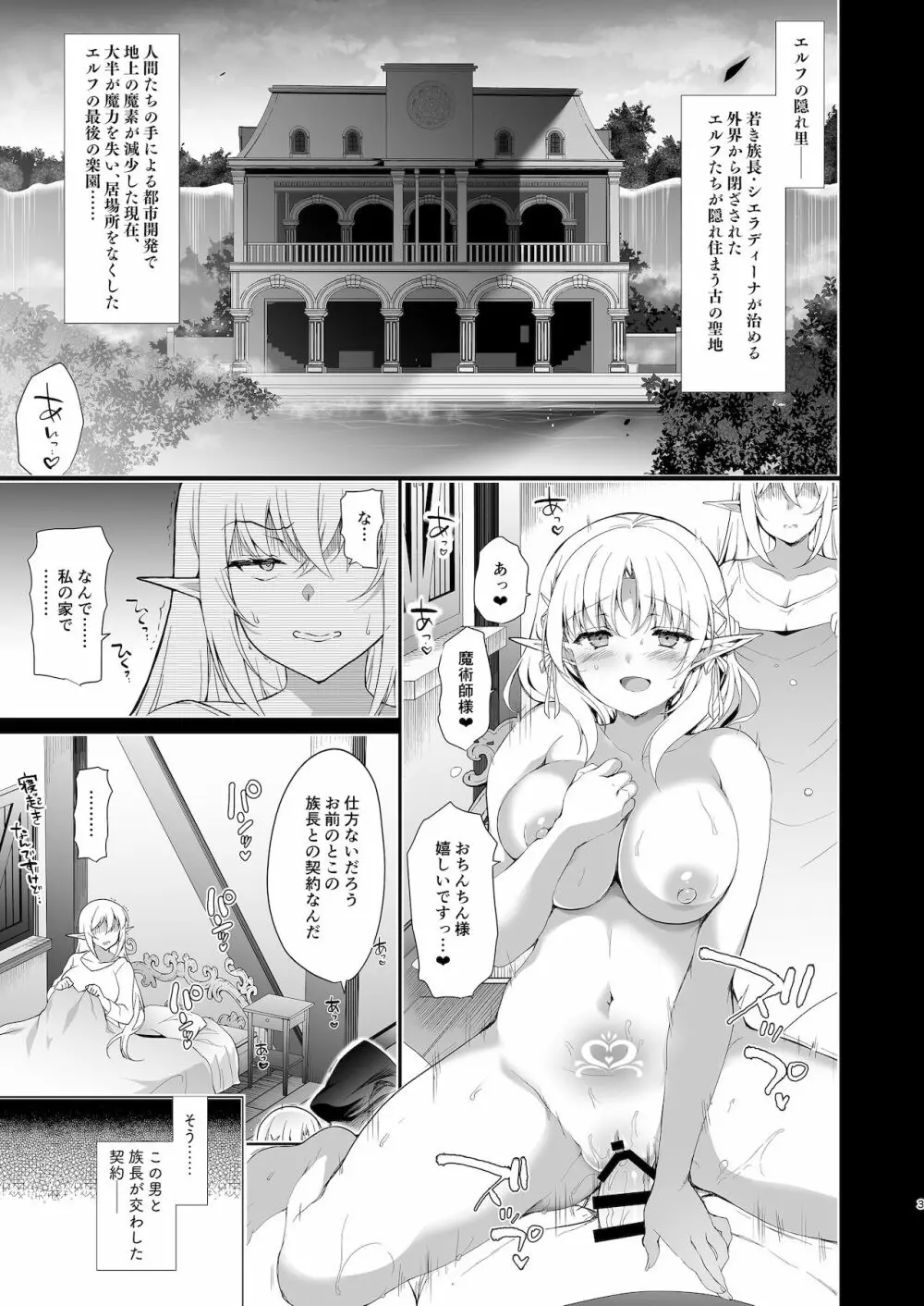 エルフに淫紋を付ける本 LEVEL:4 Page.4