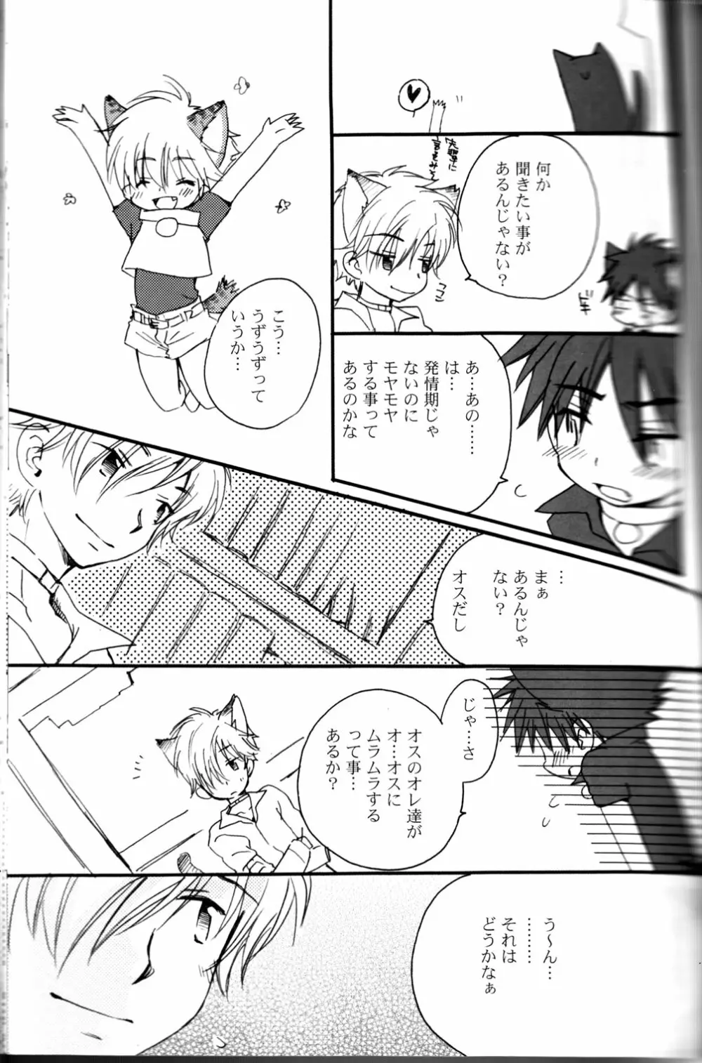 Peach Drop- Arco Iris Page.15