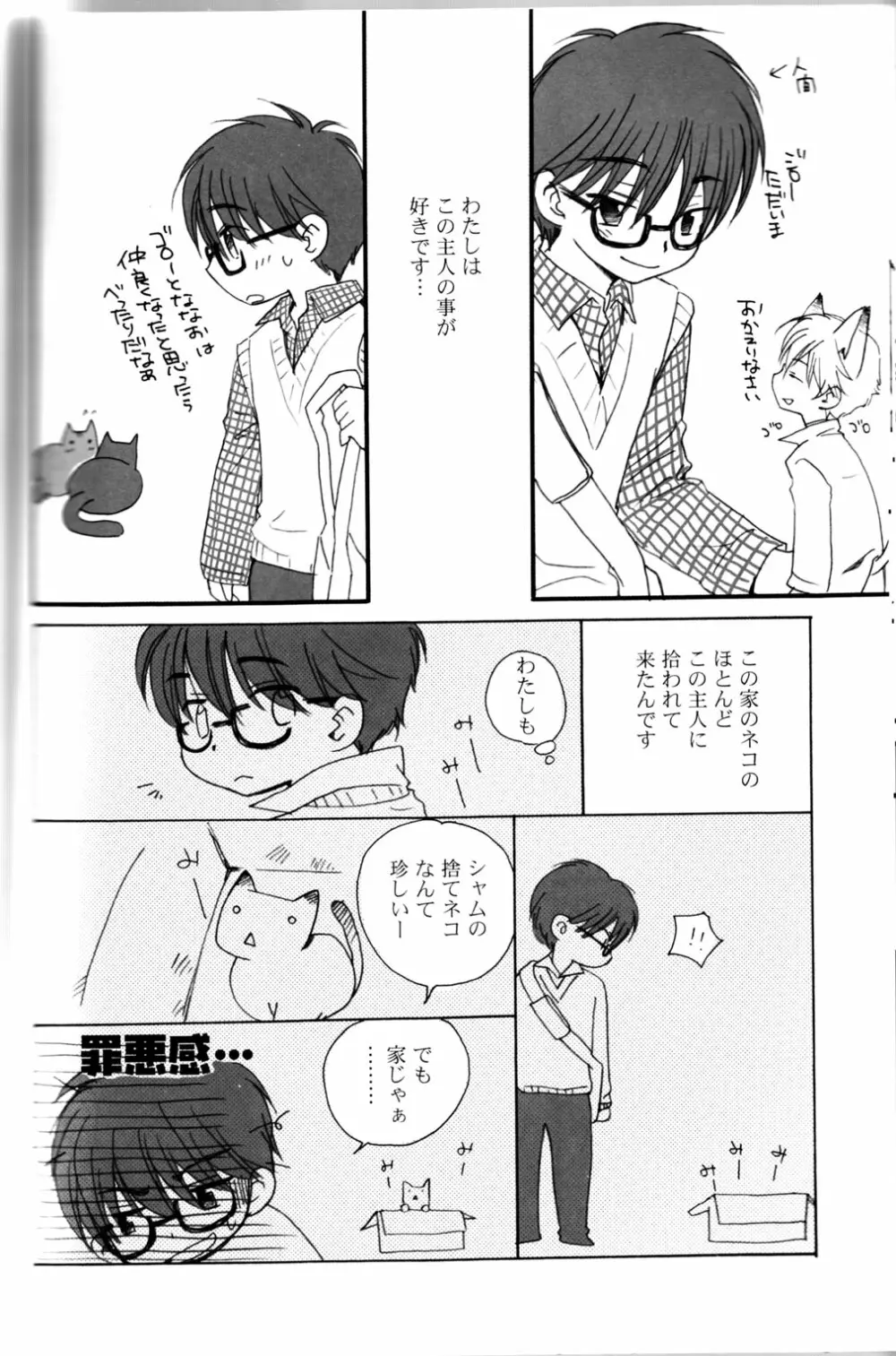 Peach Drop- Arco Iris Page.26