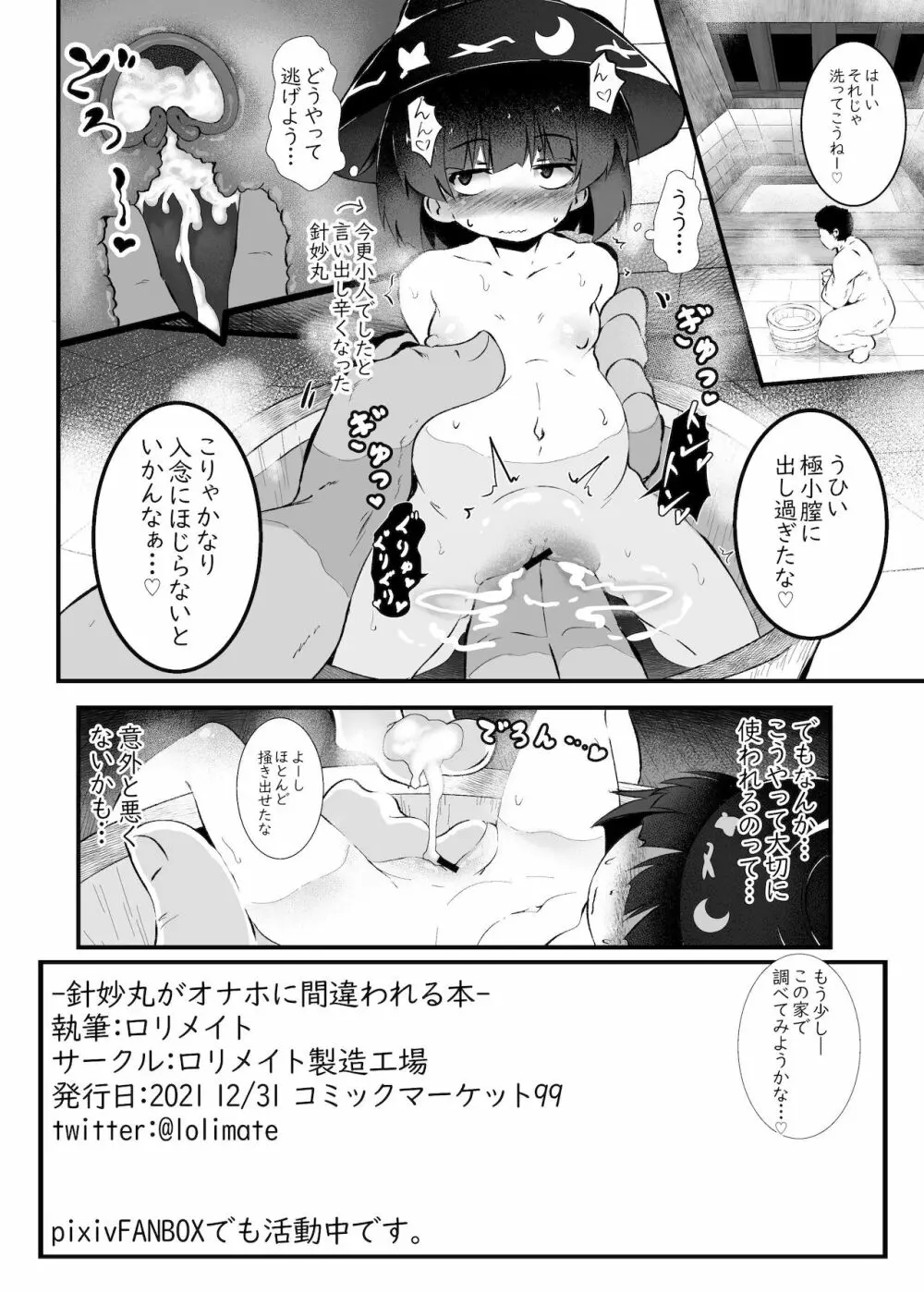 針妙丸がオナホに間違われる本 Page.10