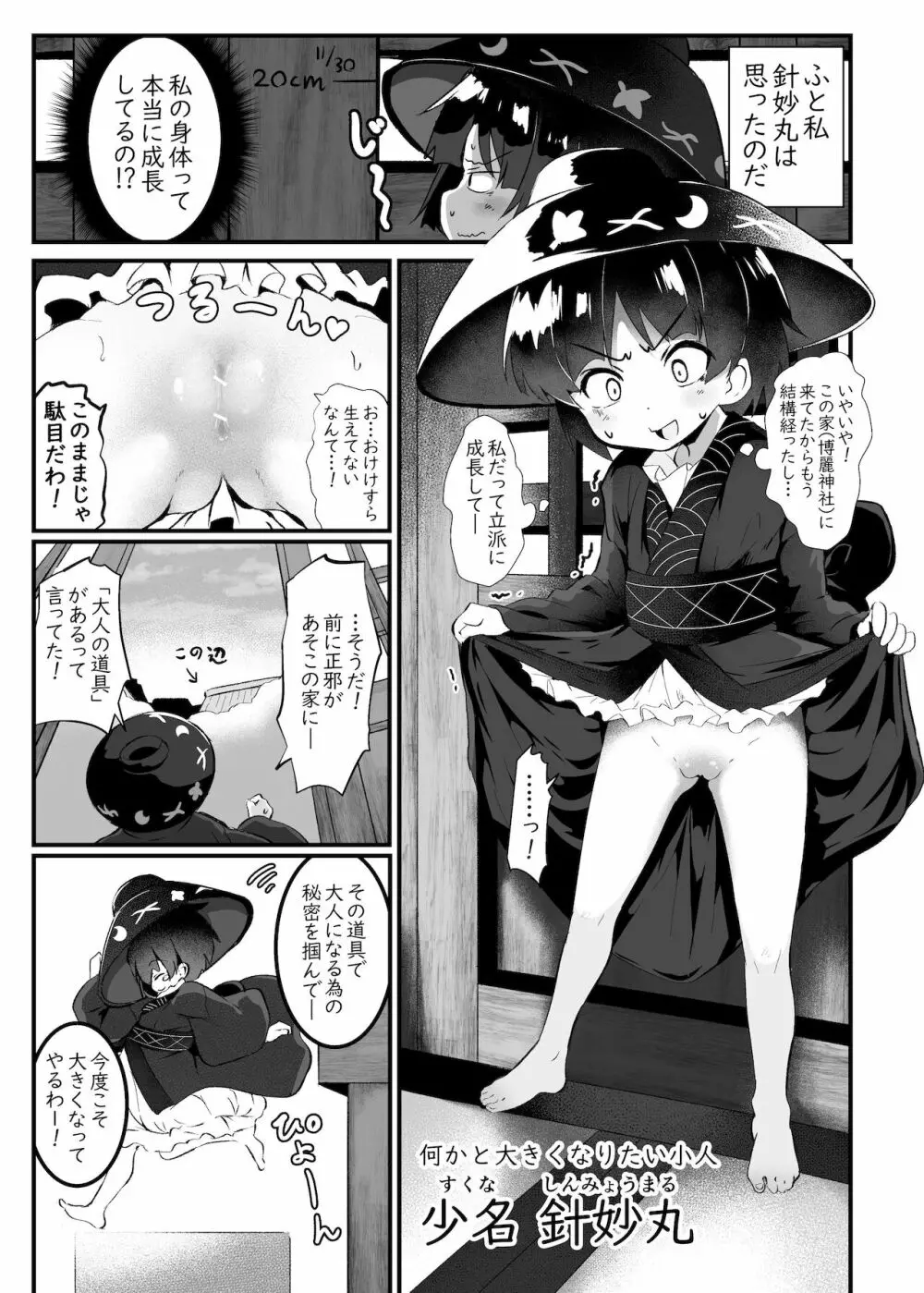 針妙丸がオナホに間違われる本 Page.3