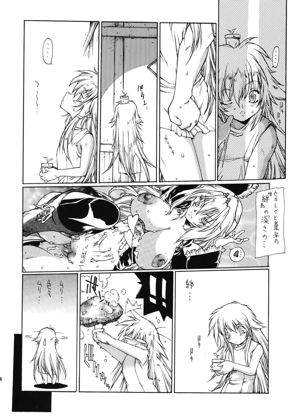 双月 Page.13