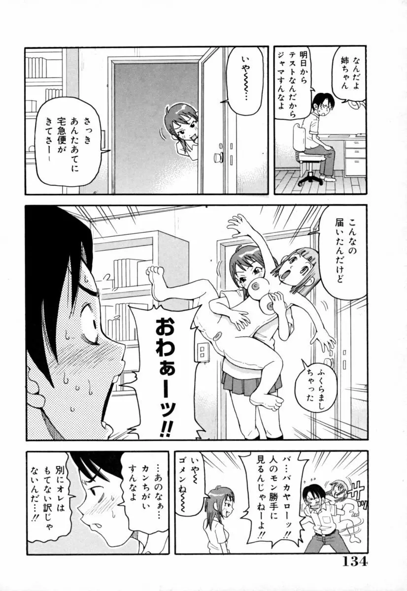 実姉パラダイス Page.134