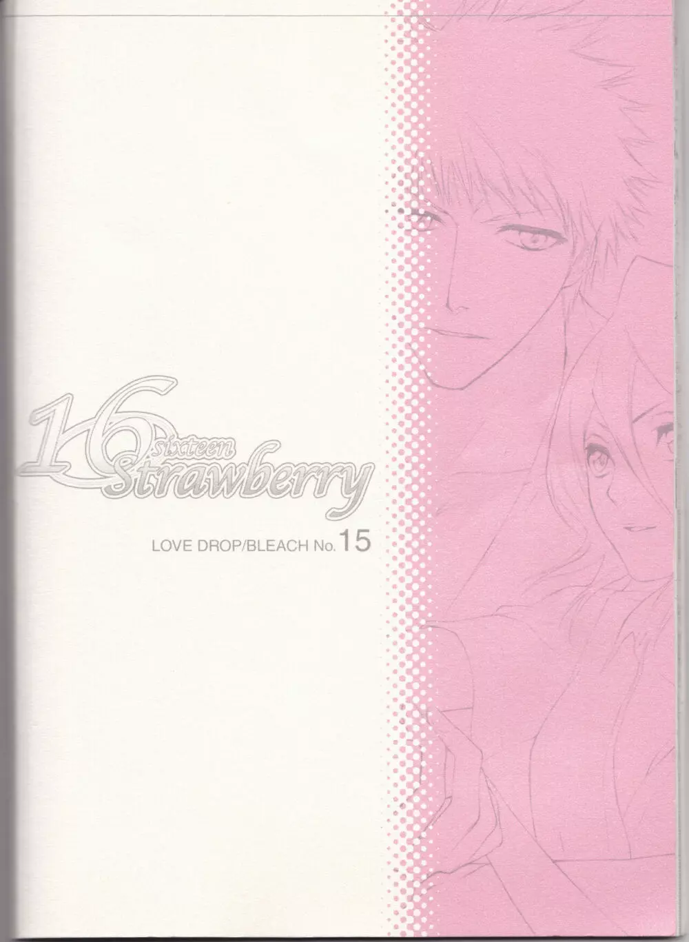 16Strawberry Page.43