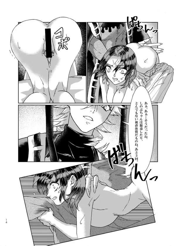 猩々緋の心臓 Page.13