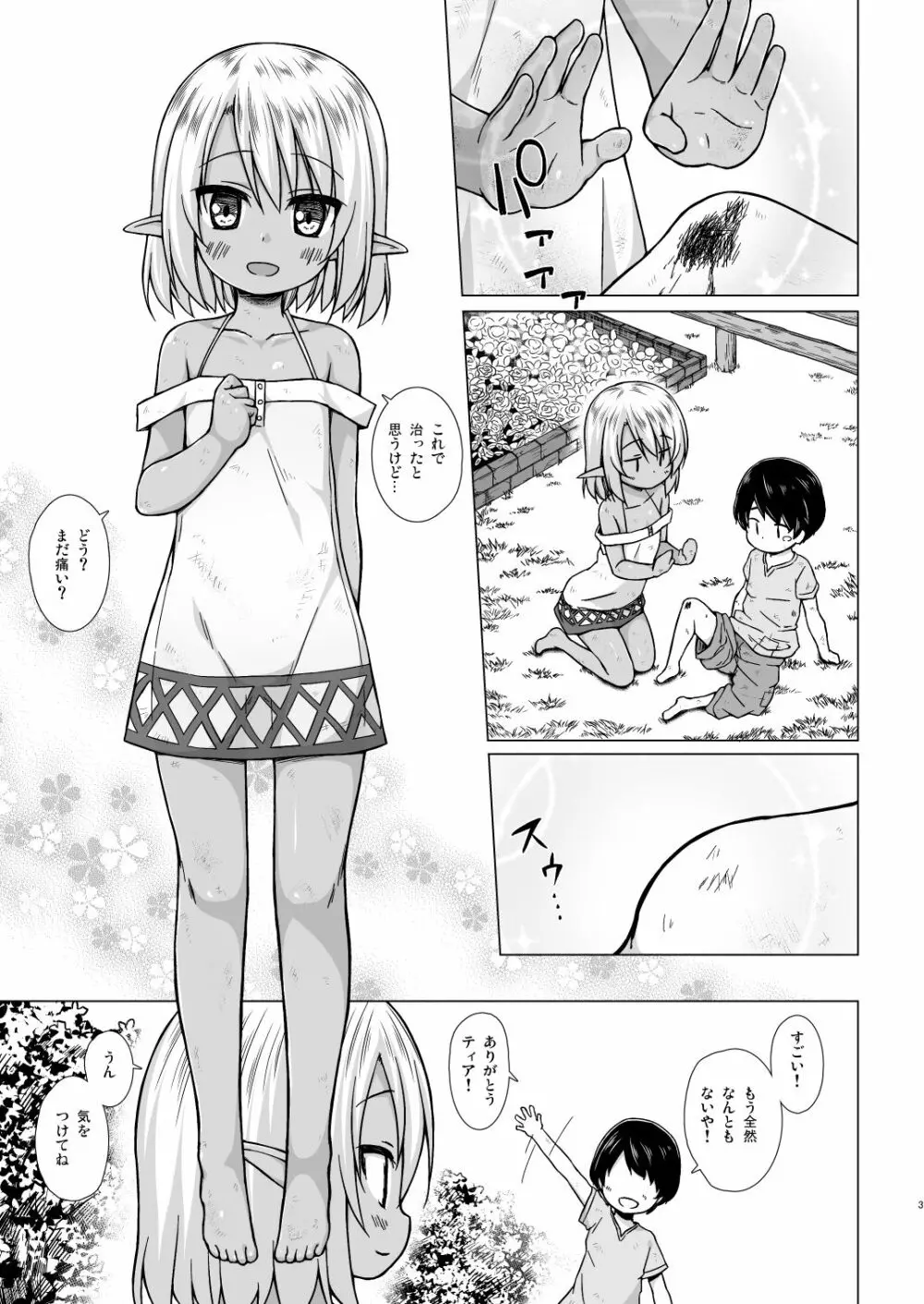 涙の花の咲くところ Page.2