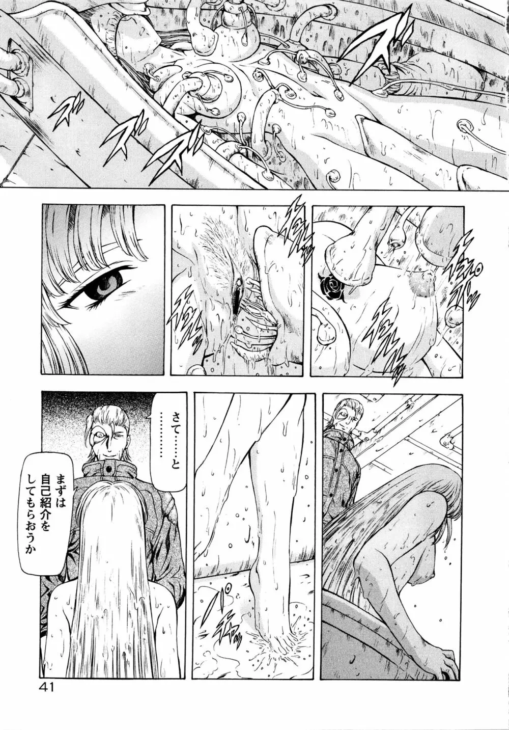 銀竜の黎明 Vol.2 Page.47