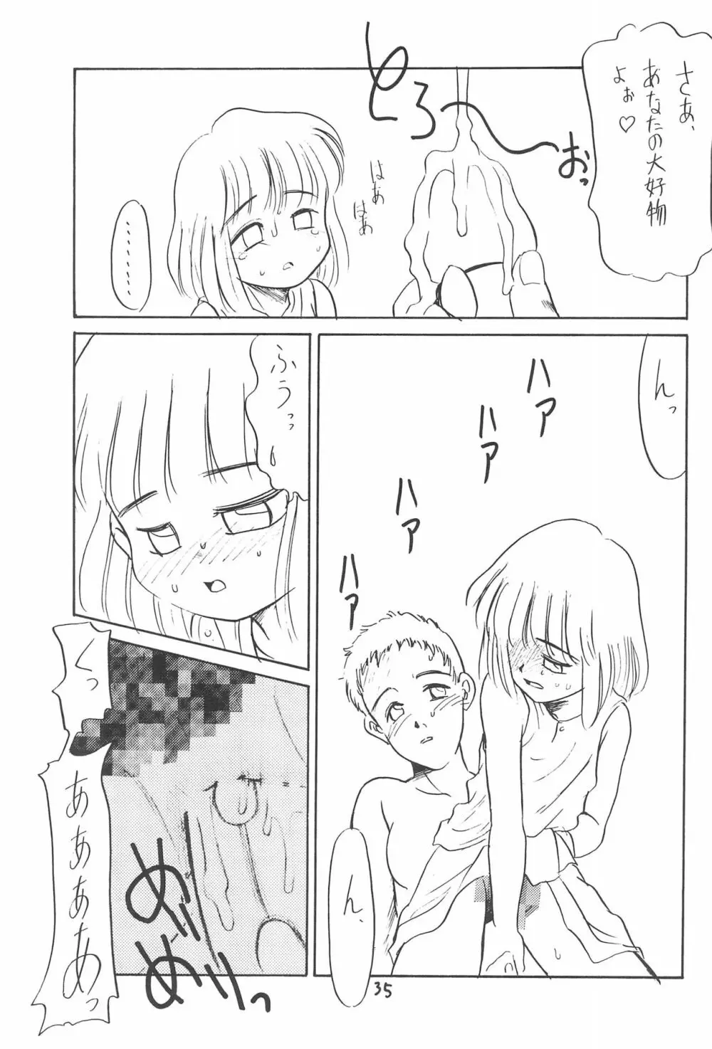 ある意味酷い本 Page.35