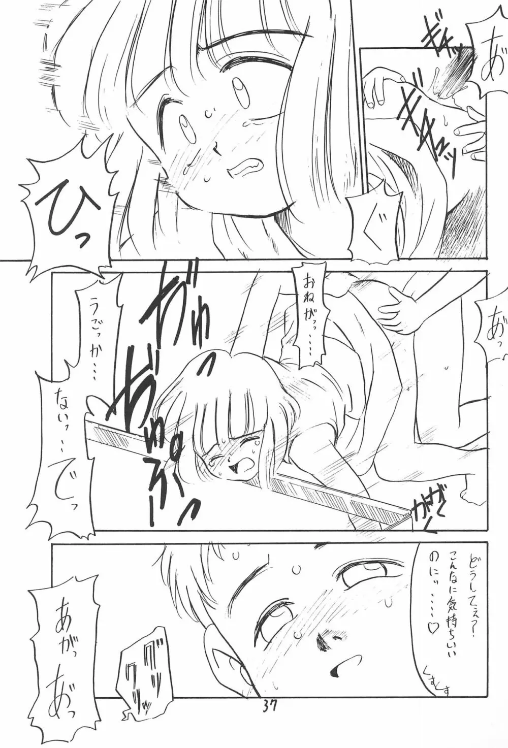 ある意味酷い本 Page.37