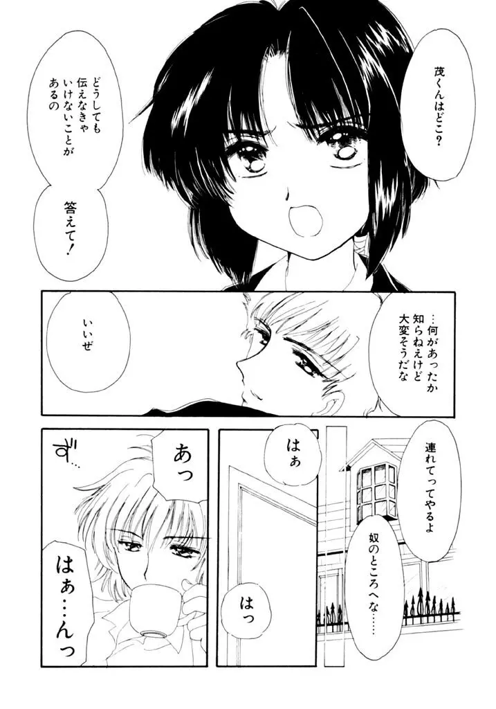 追憶の少年 Page.28