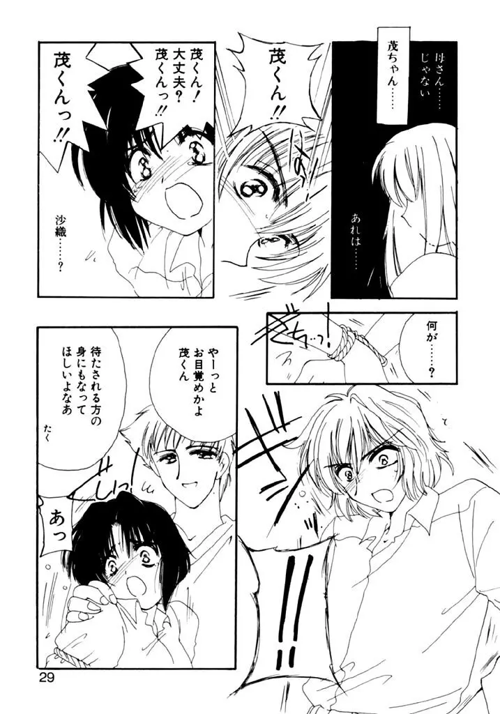 追憶の少年 Page.31