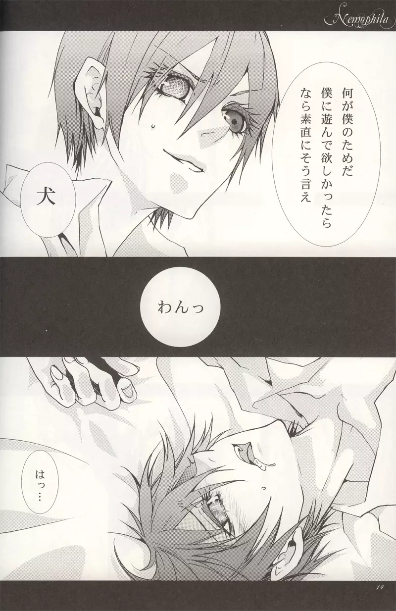 Nemophila Page.12