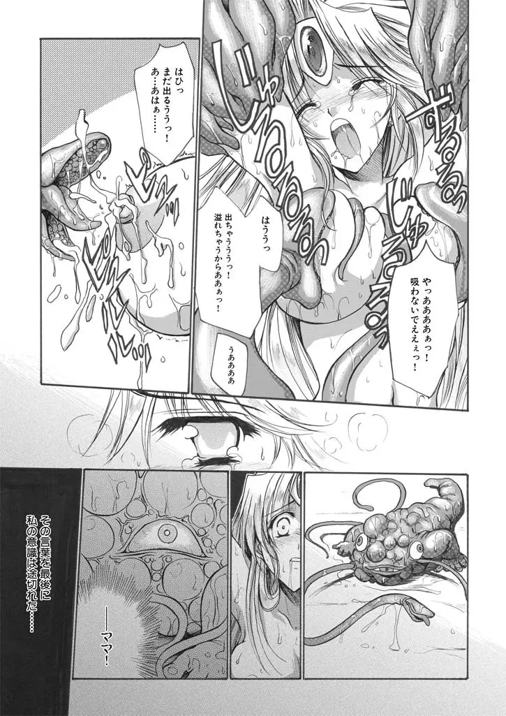 聖王妃 エルレイン（田宮秋人） Princess St Page.20