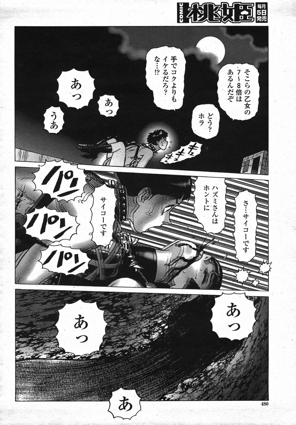COMIC 桃姫 2007年11月号 Page.483