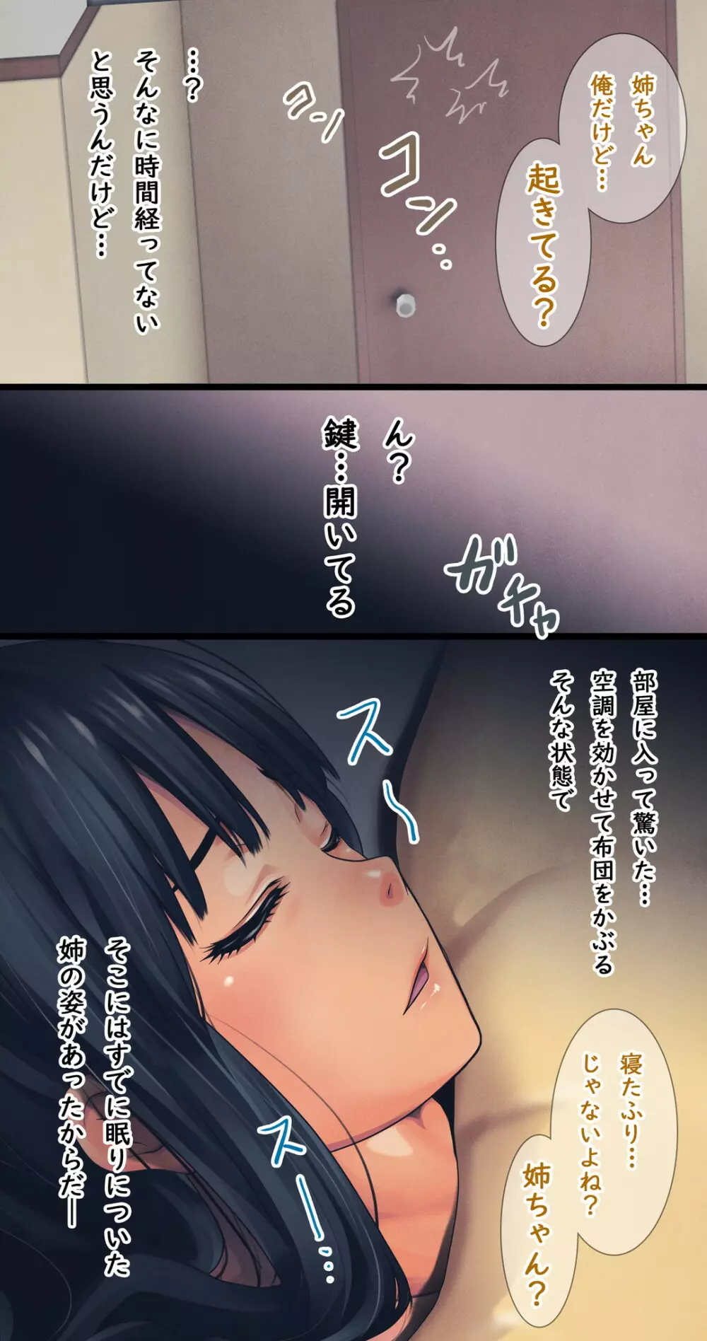 困り顔な美人の姉を襲ってやりたい放題やった話 -睡眠姦- Page.23