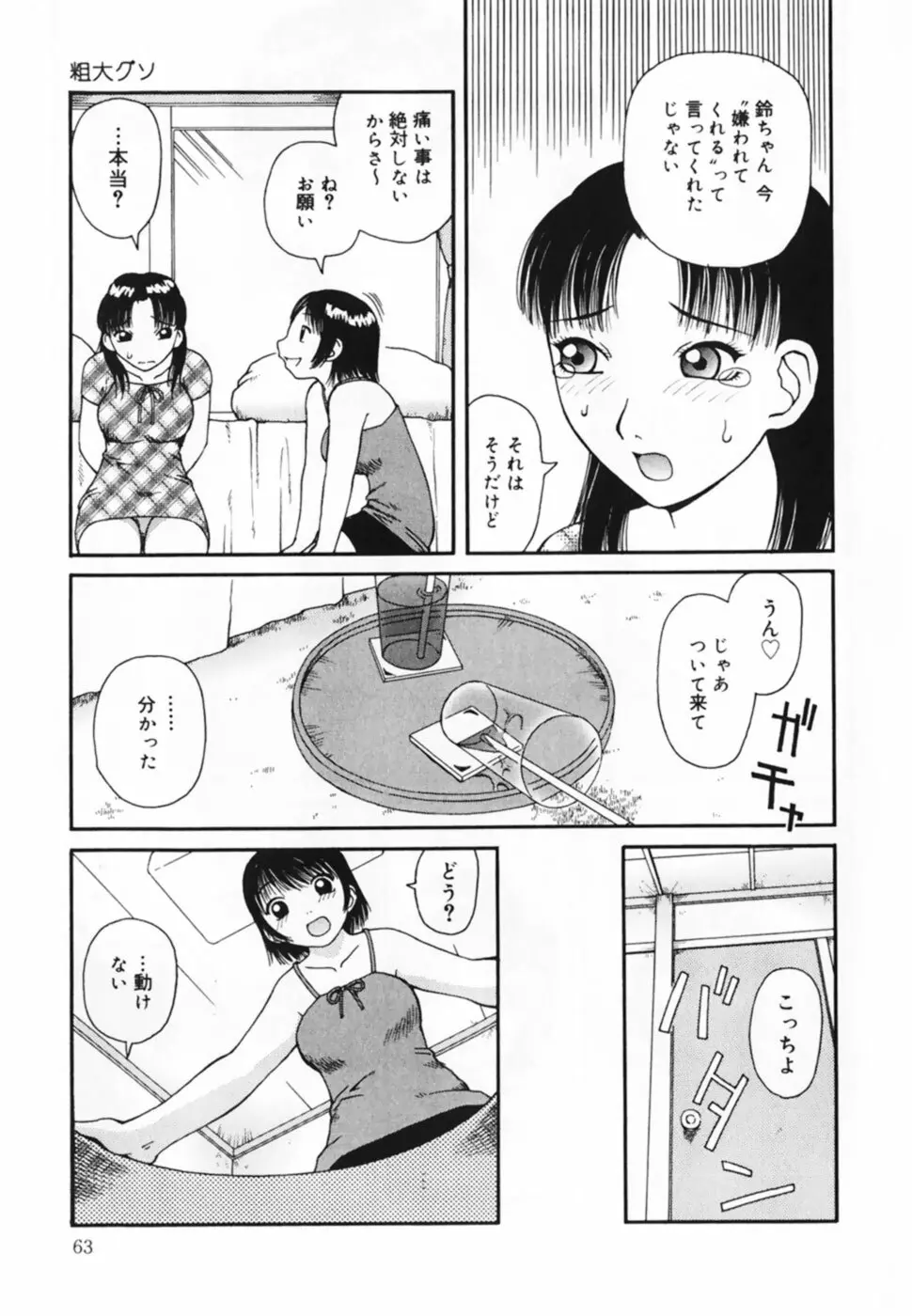 お仕置き！泥棒猫！！ Page.65