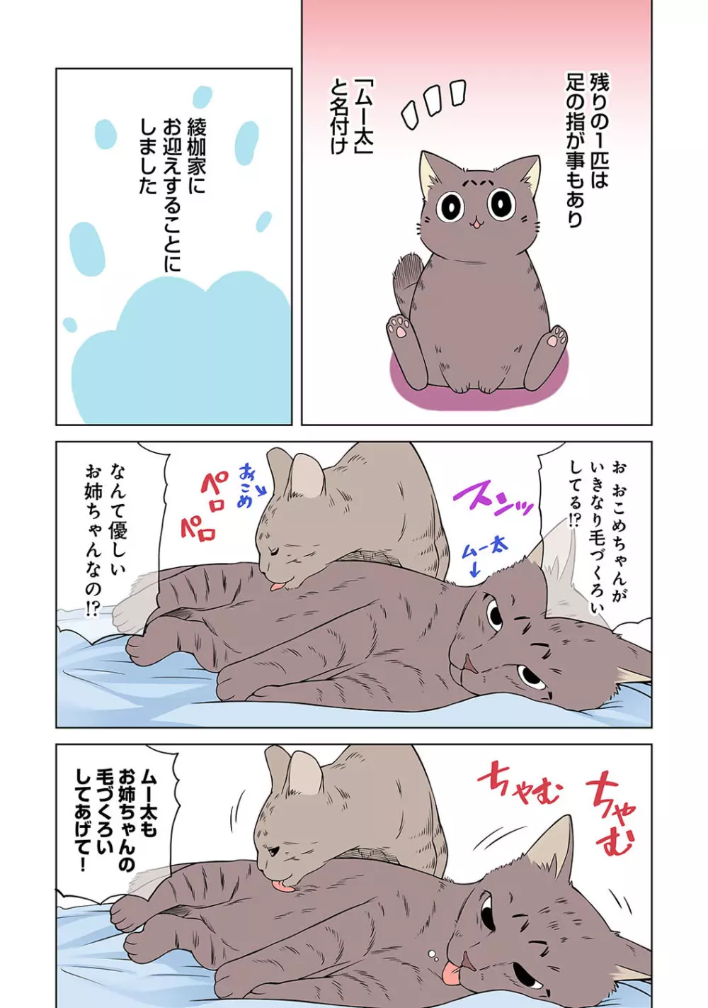 アナンガ・ランガ Vol. 82 Page.258