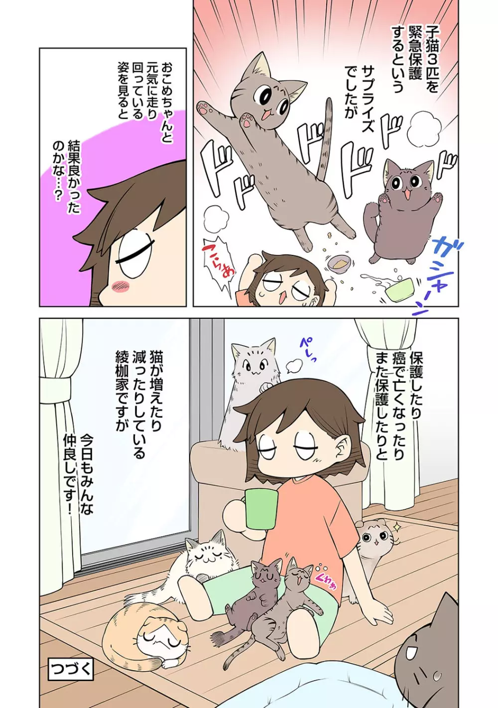 アナンガ・ランガ Vol. 82 Page.259