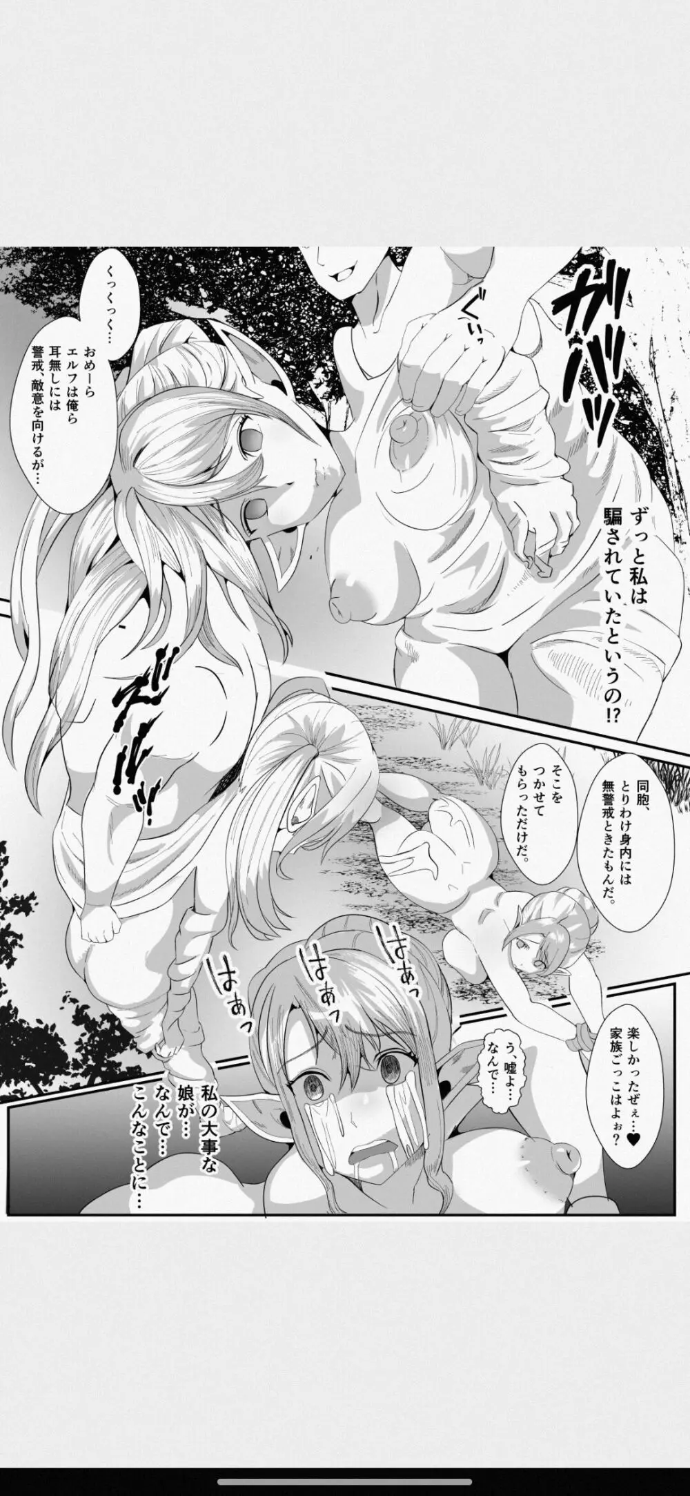 皮とエルフと山賊団～皮にされ出荷されるエルフの家族～ Page.28