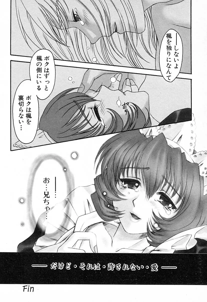 彼女はメイド Page.12