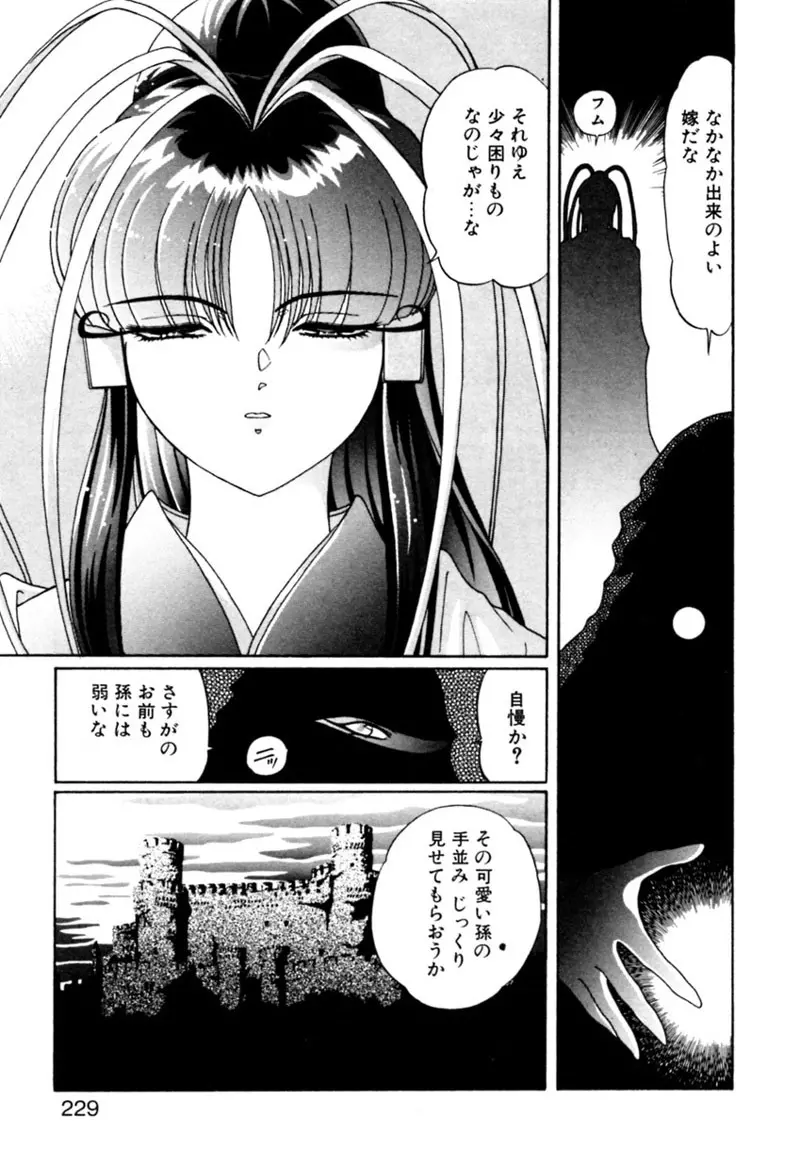 エルフの若奥様DELUXE Page.229