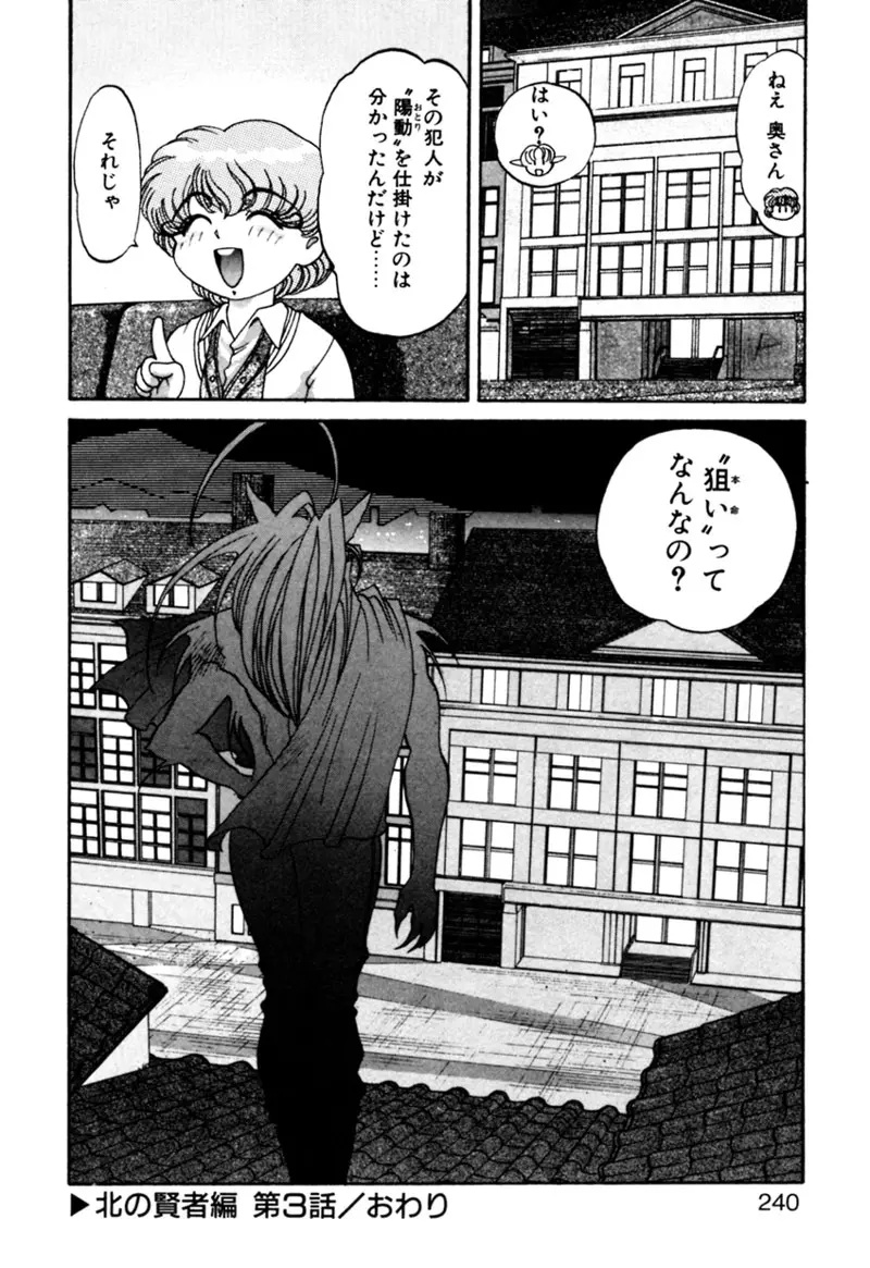 エルフの若奥様DELUXE Page.240