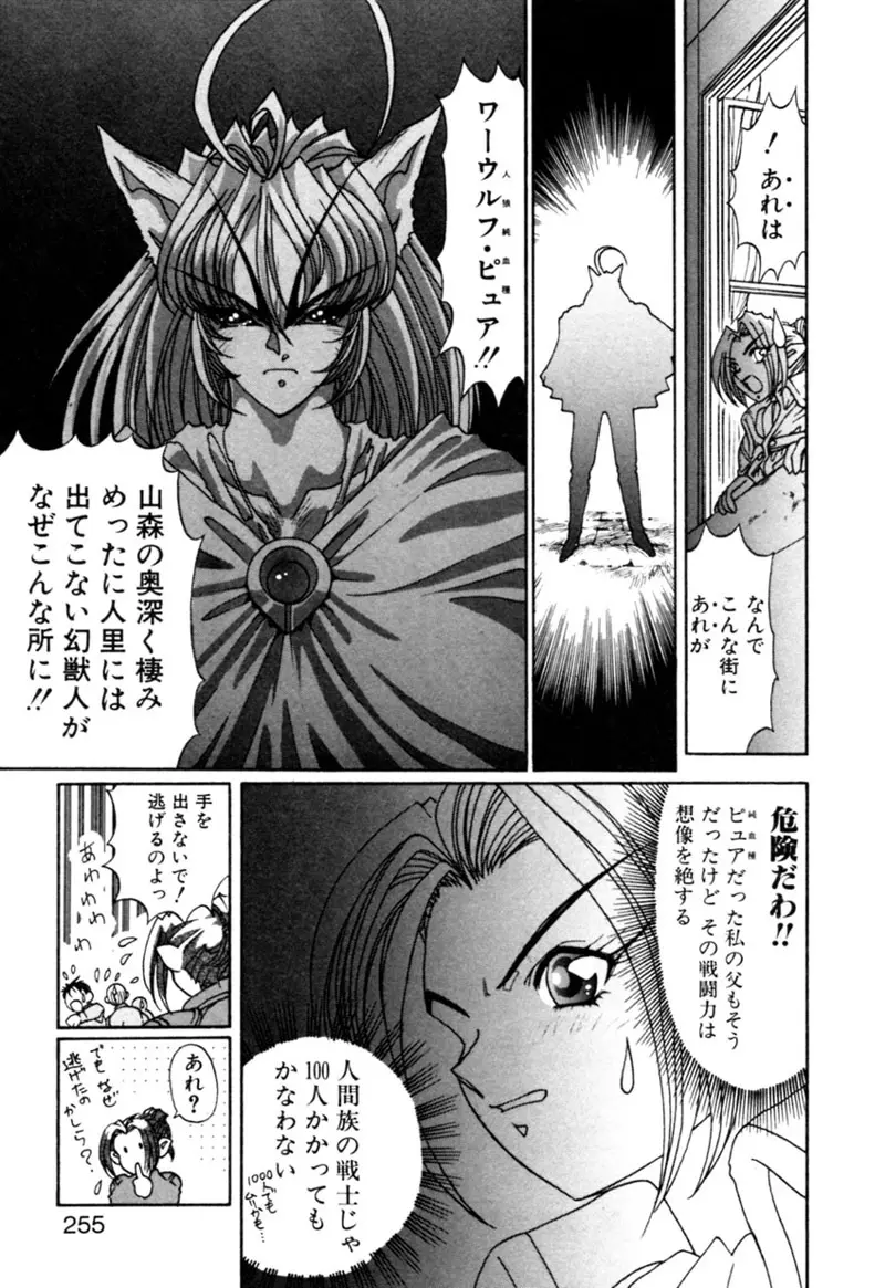 エルフの若奥様DELUXE Page.255