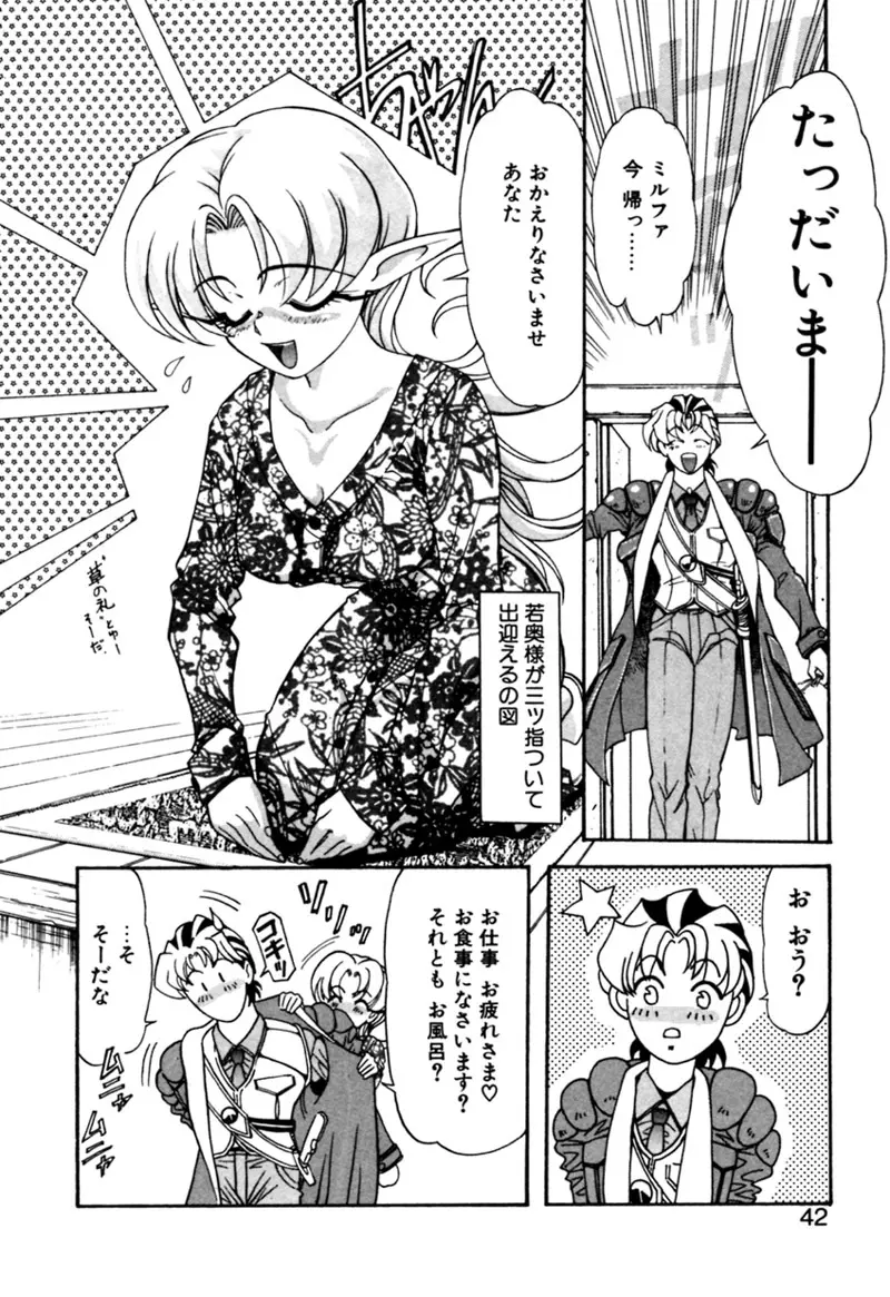 エルフの若奥様DELUXE Page.41