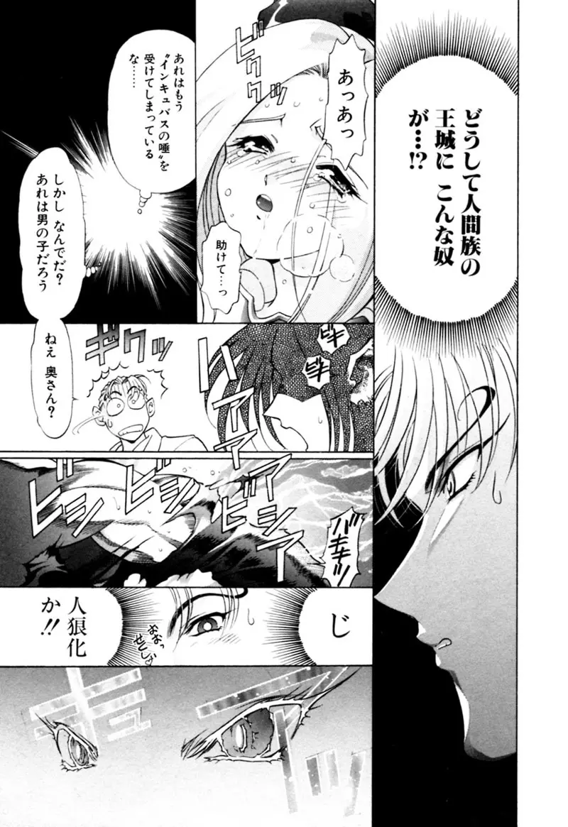 エルフの若奥様DELUXE Page.517