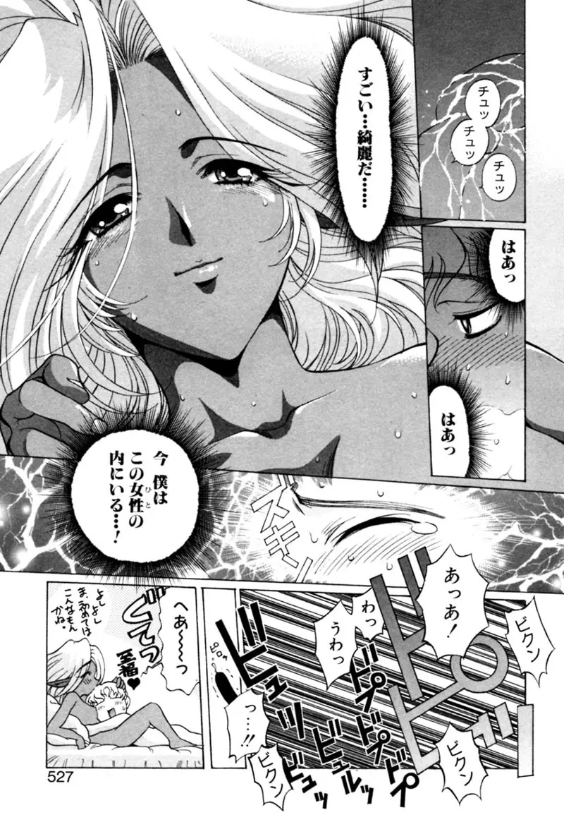 エルフの若奥様DELUXE Page.529