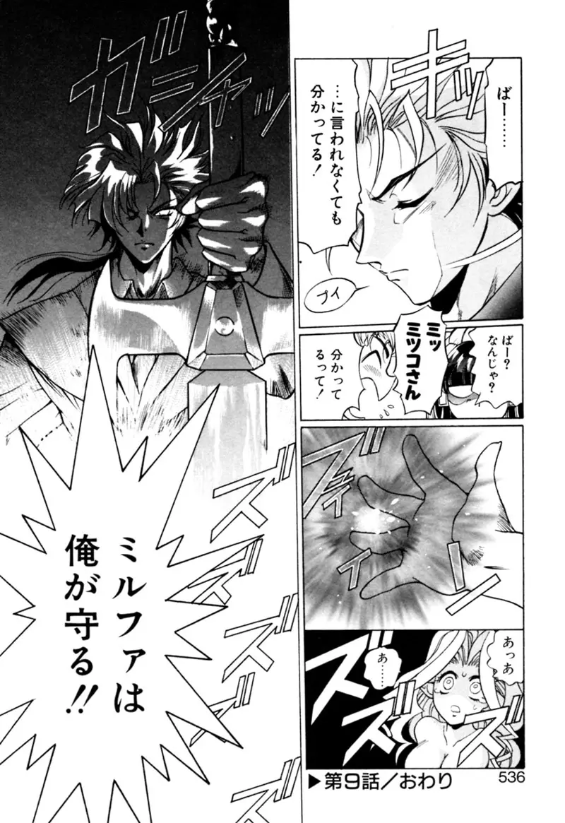 エルフの若奥様DELUXE Page.538