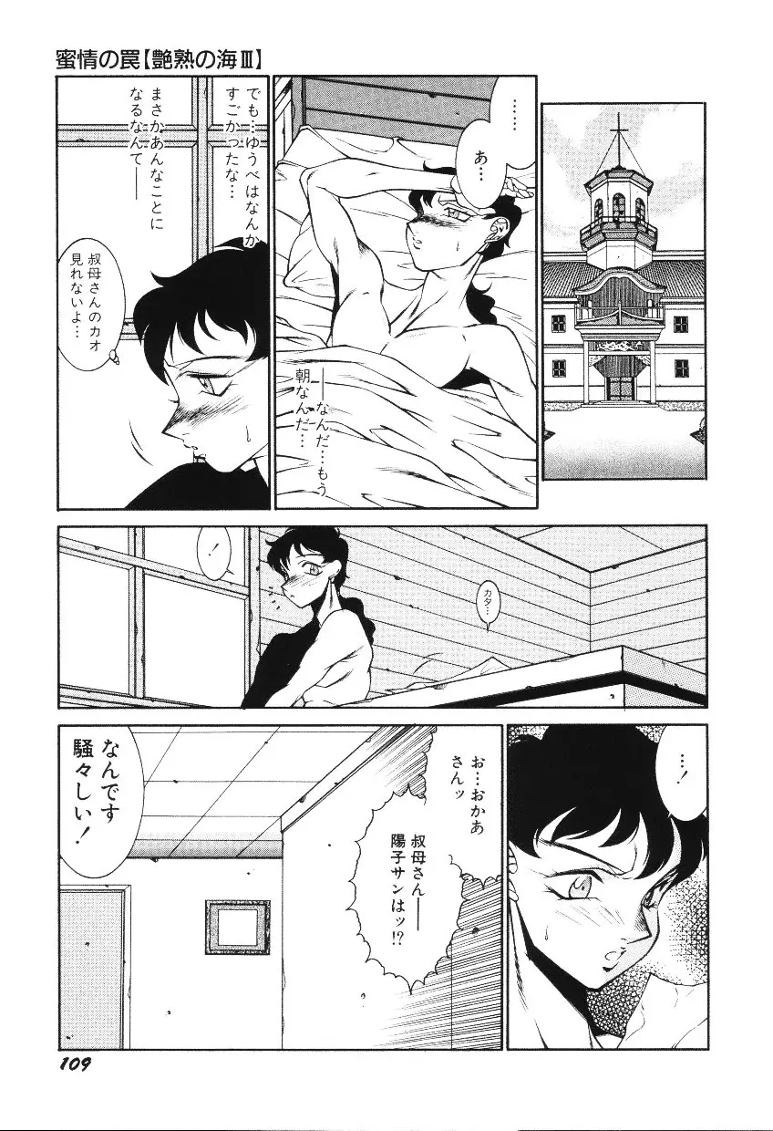 ハツピーウーマン Page.111