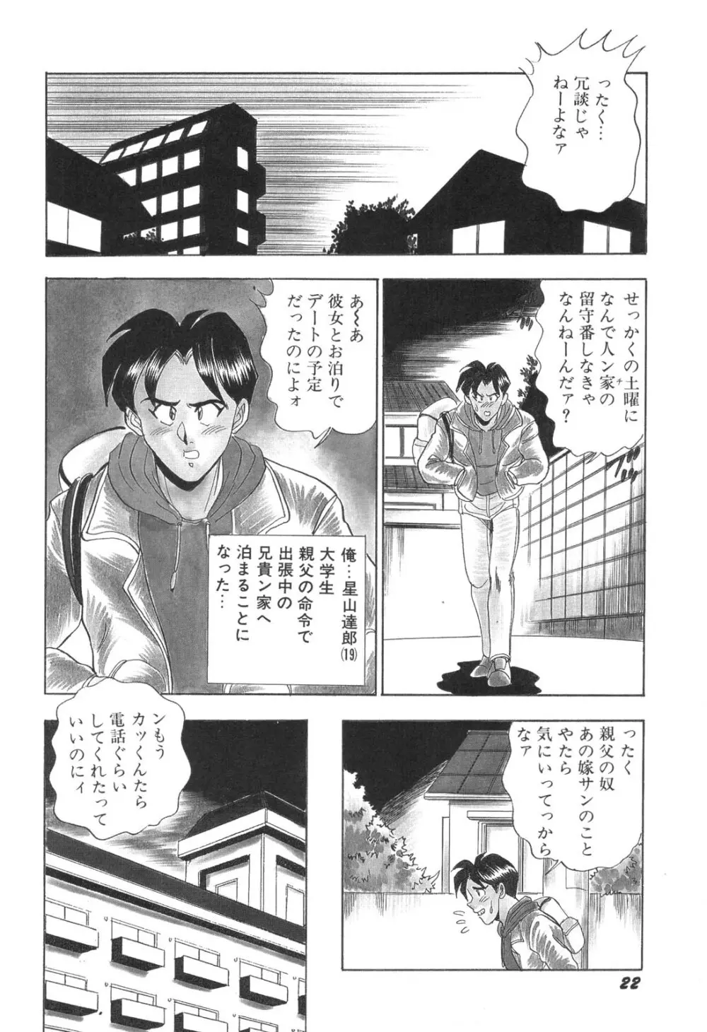 コスプレ若奥様 Page.23