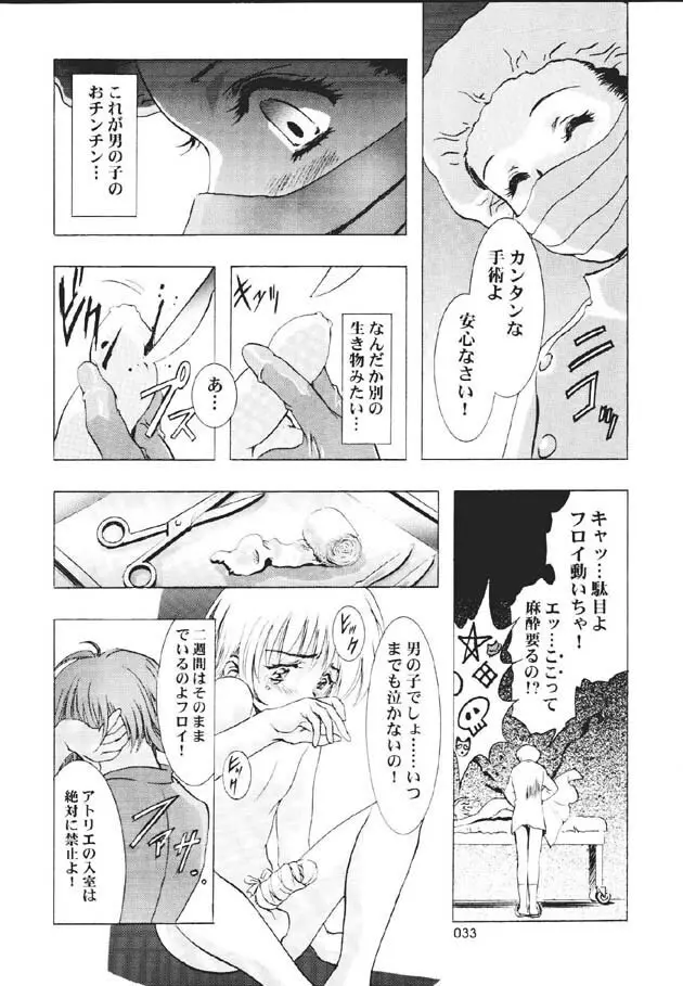 (C60) [片励会 (かわらじま晃)] 魔法飴 -Magical Candy- Magic girl Graphix (よろず) Page.32