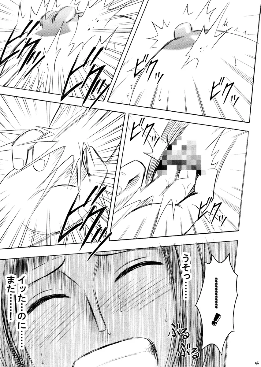 ロビンハード Page.45