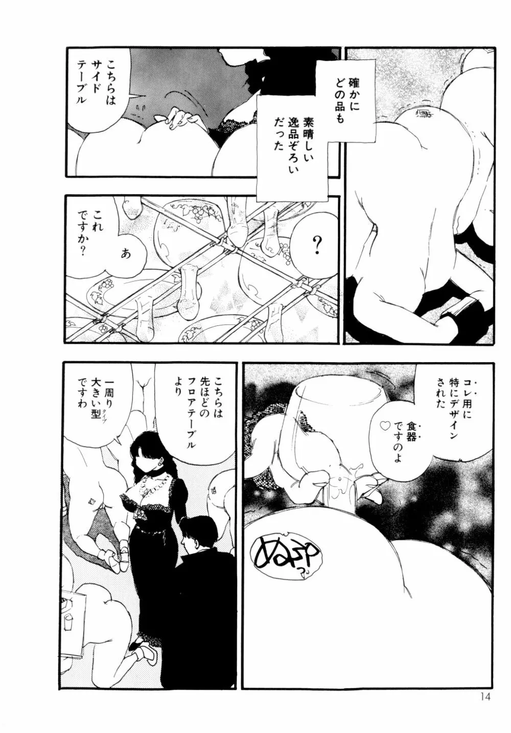 コレクション 美肉の蒐集 Page.15