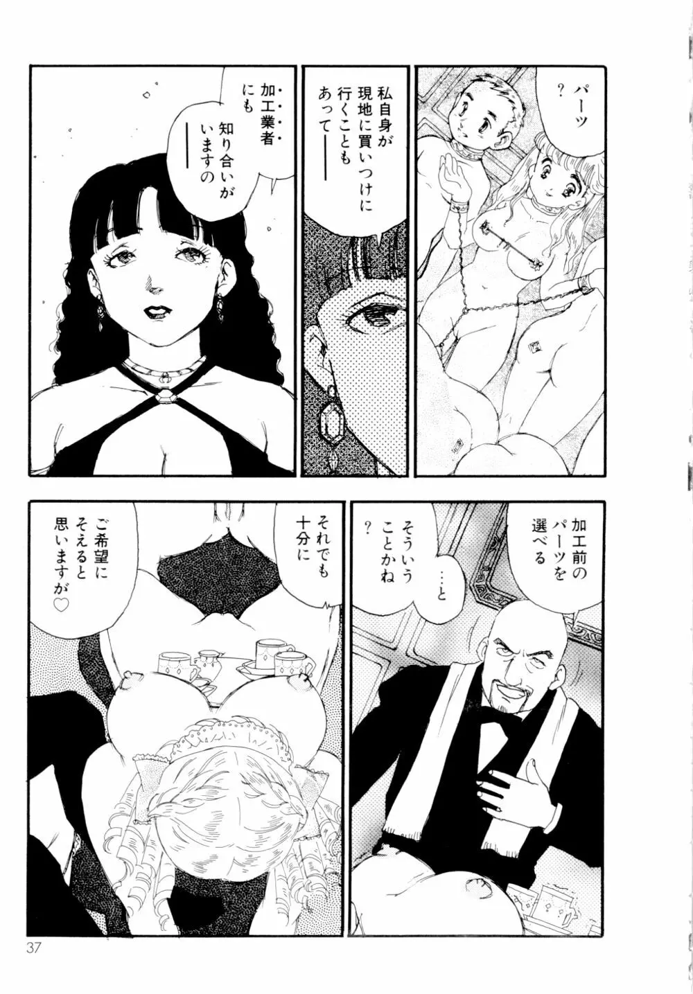 コレクション 美肉の蒐集 Page.38