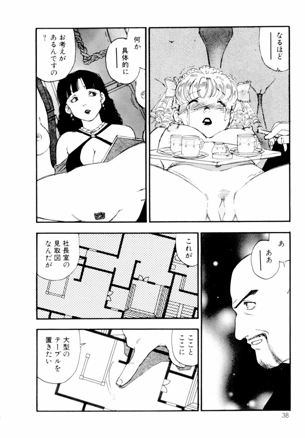 コレクション 美肉の蒐集 Page.39