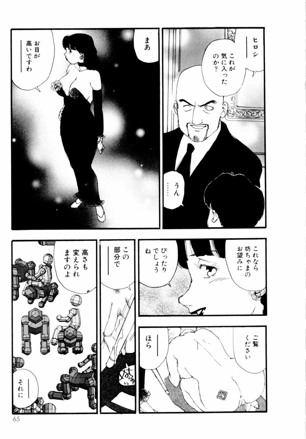 コレクション 美肉の蒐集 Page.66