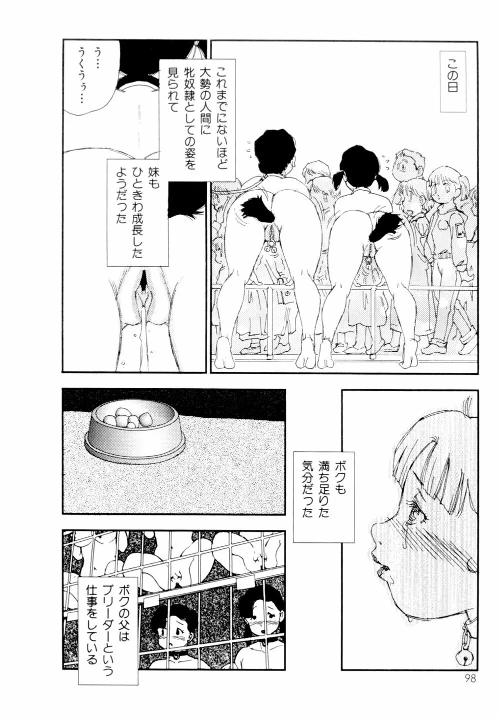 コレクション 美肉の蒐集 Page.99