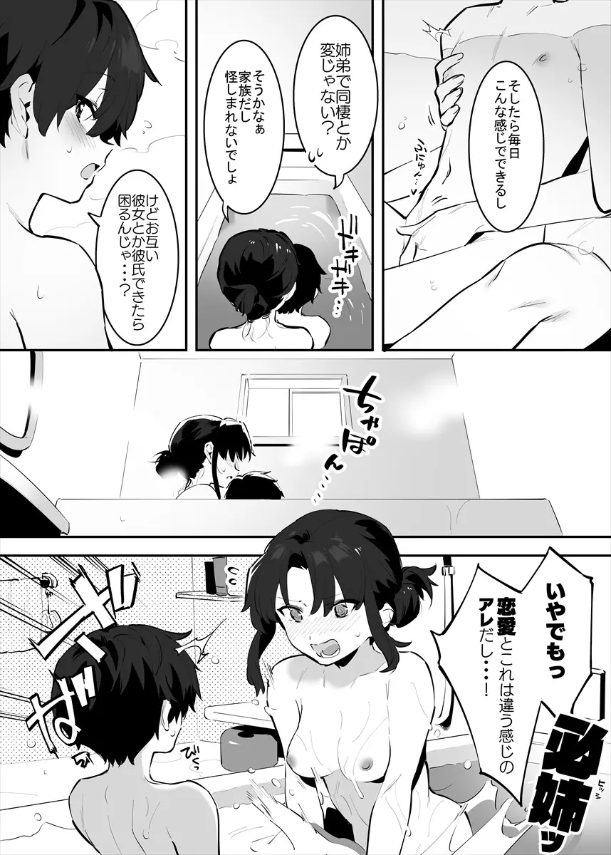 してる姉弟の休日 Page.36