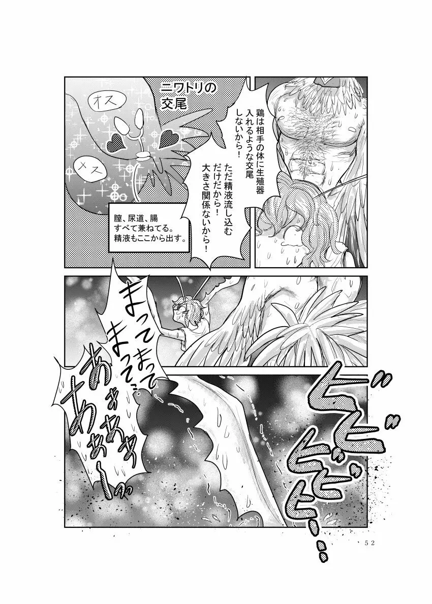 めすかまきり Page.11