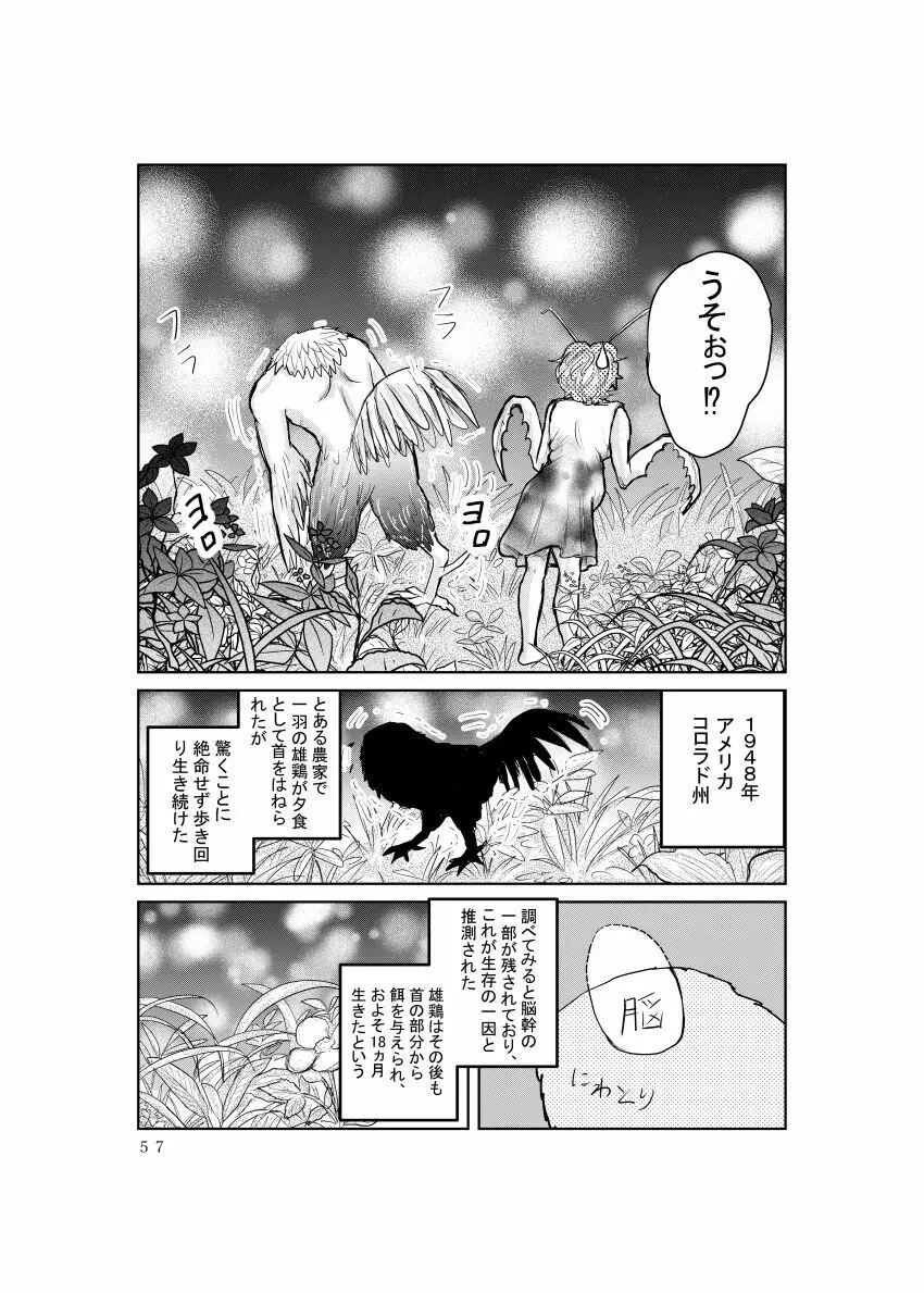 めすかまきり Page.15