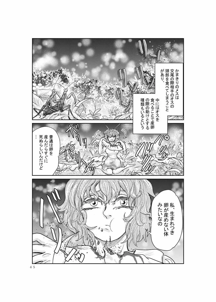 めすかまきり Page.3