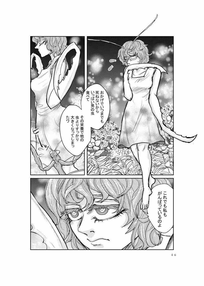 めすかまきり Page.4