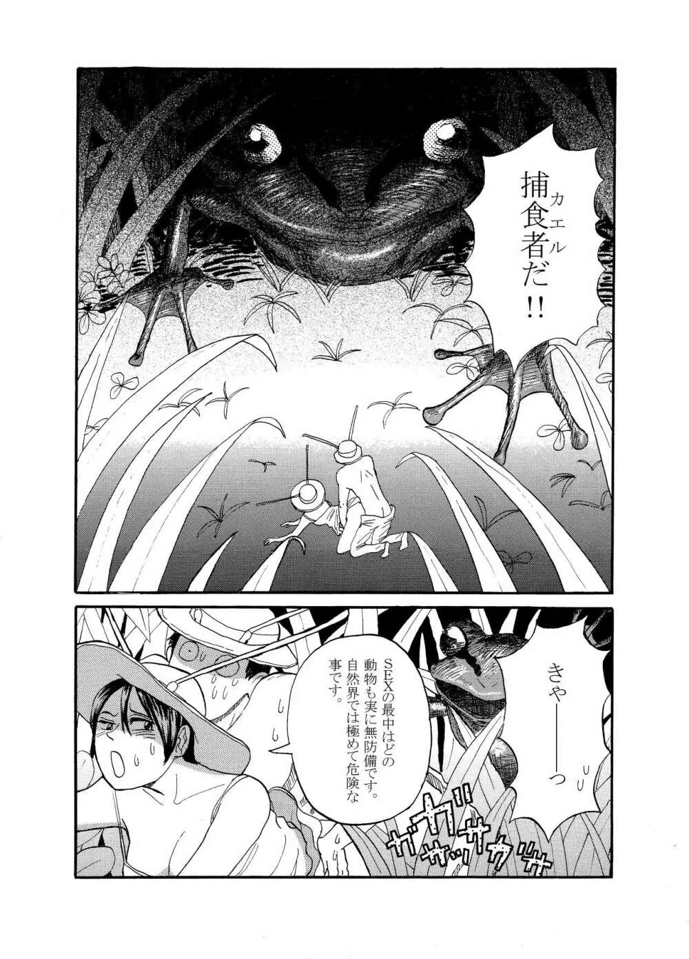 [動物性生活図鑑」シリーズ カメムシ Page.8