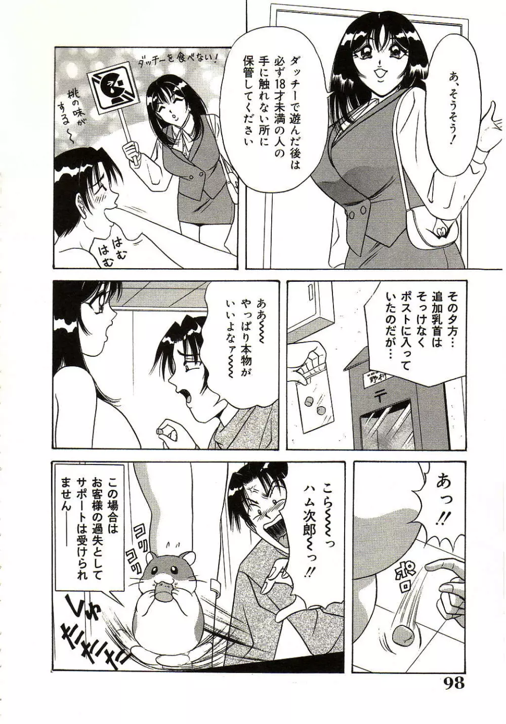 凌辱きせかえ人形 Page.99