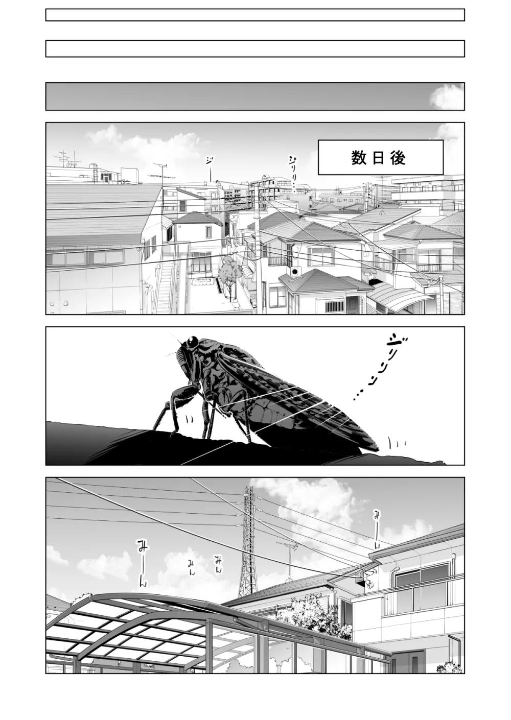 ヌレアネ ～バツイチの姉とSEXをした夏の夜～ Page.13