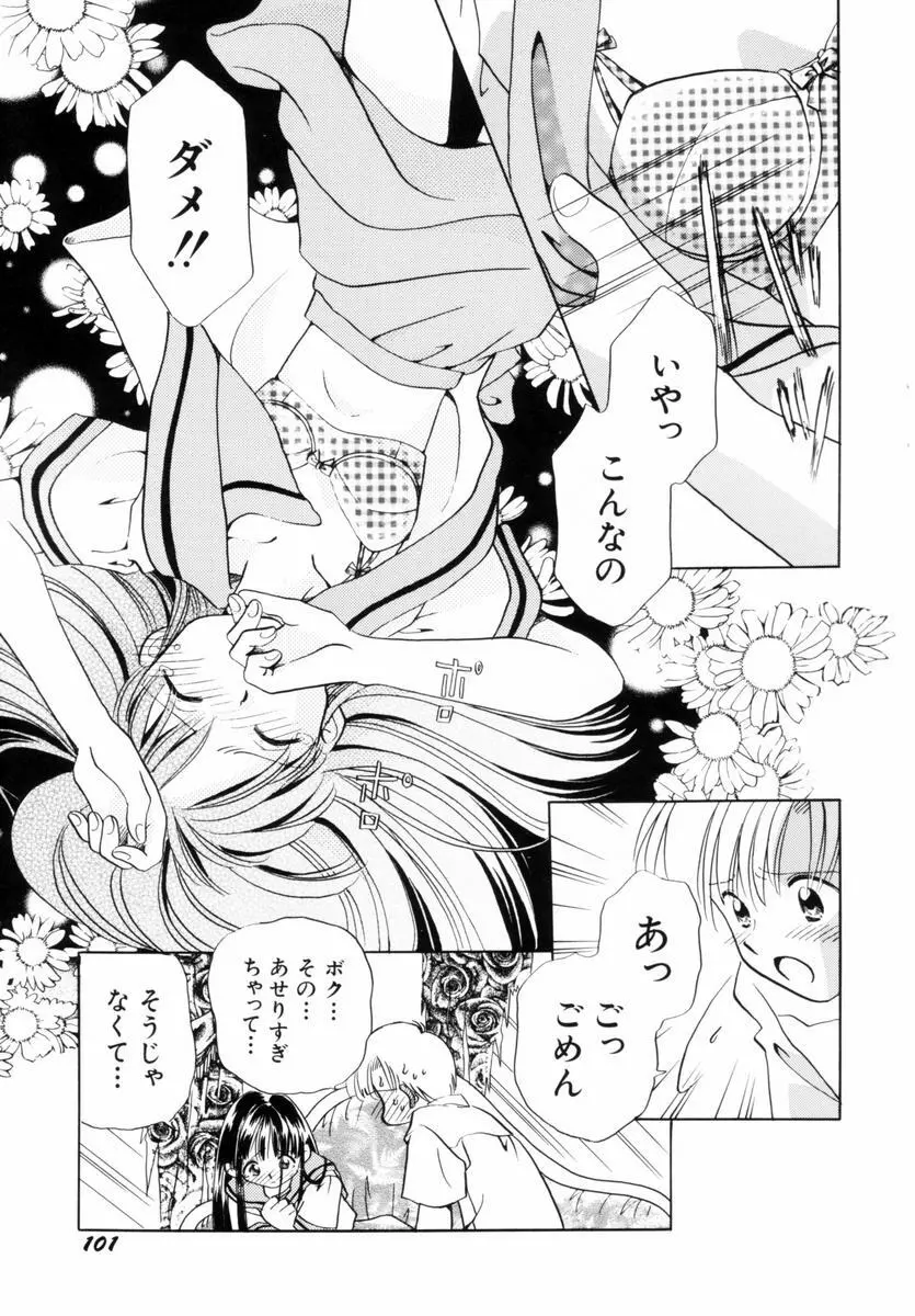 いつか、王子さまが。 Page.104